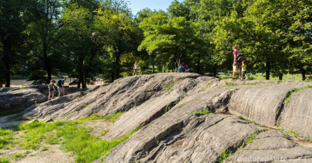 Acknowledging the Untouched Stones