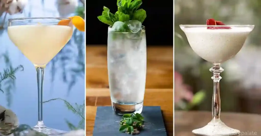 More Tasty Gimlet Recipes And Elderflower Cocktails To Try