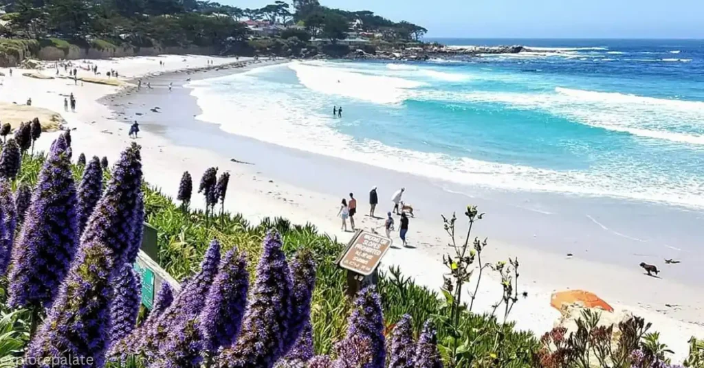 Carmel Beach, Carmel-by-the-Sea, California