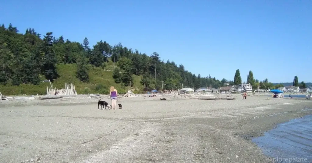 Double Bluff Beach, Whidbey Island, Washington