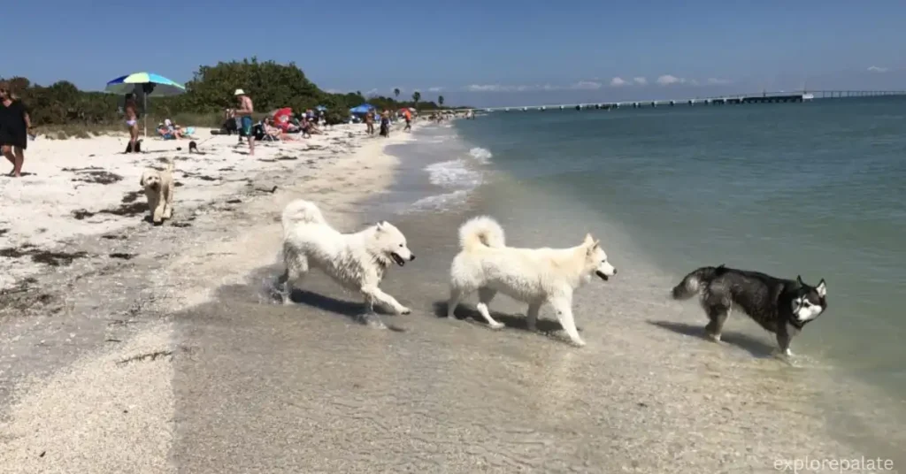 Fort De Soto Park, St. Petersburg, Florida