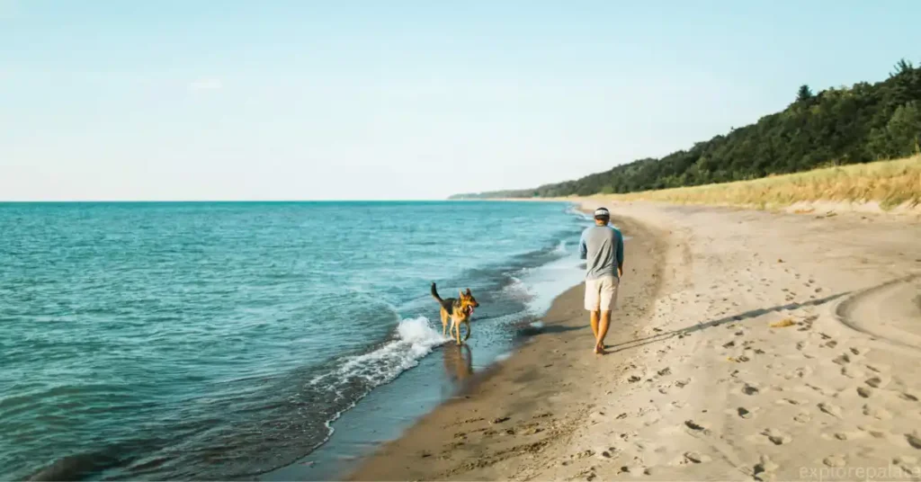 Warren Dunes State Park, Sawyer Michigan